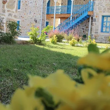 Hotel La Petra 2*